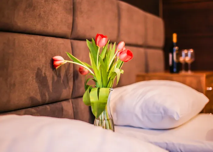 Boogie Aparthouse Old Town Wrocław