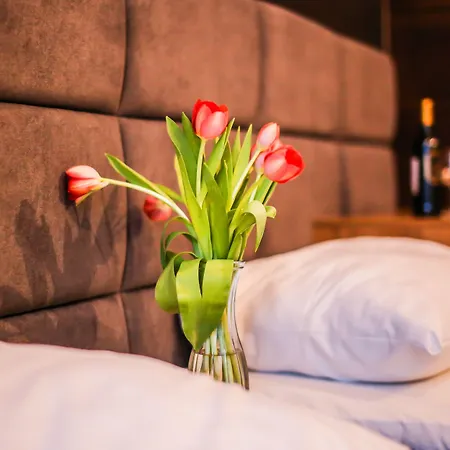 Boogie Aparthouse Old Town Wrocław