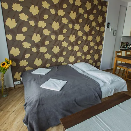 Boogie Aparthouse Old Town ורוצלב